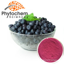 Factory Bulk Acai Berry Extract Powder 4:1/10:1/20:1 Wholesale Price